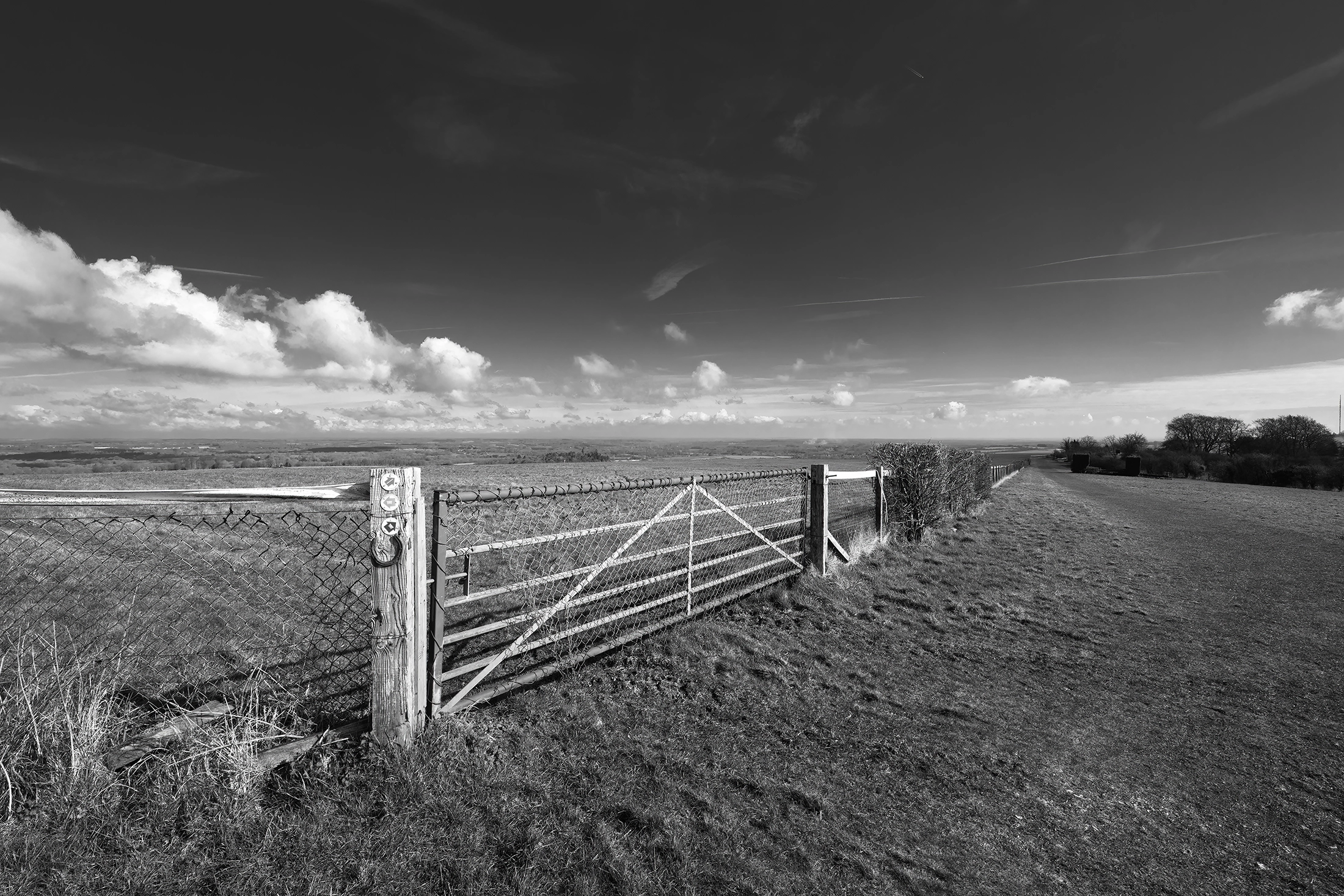 chalk ground vii product image chalk ground vii product image