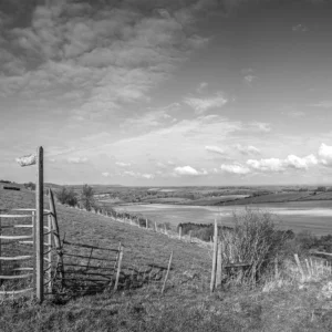 chalk ground viii product image