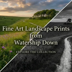 Watership Down – Fine Art Landscape Prints