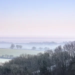 still ground i product image1