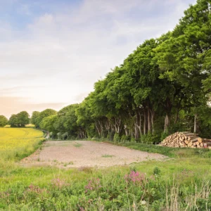 still ground ix product image