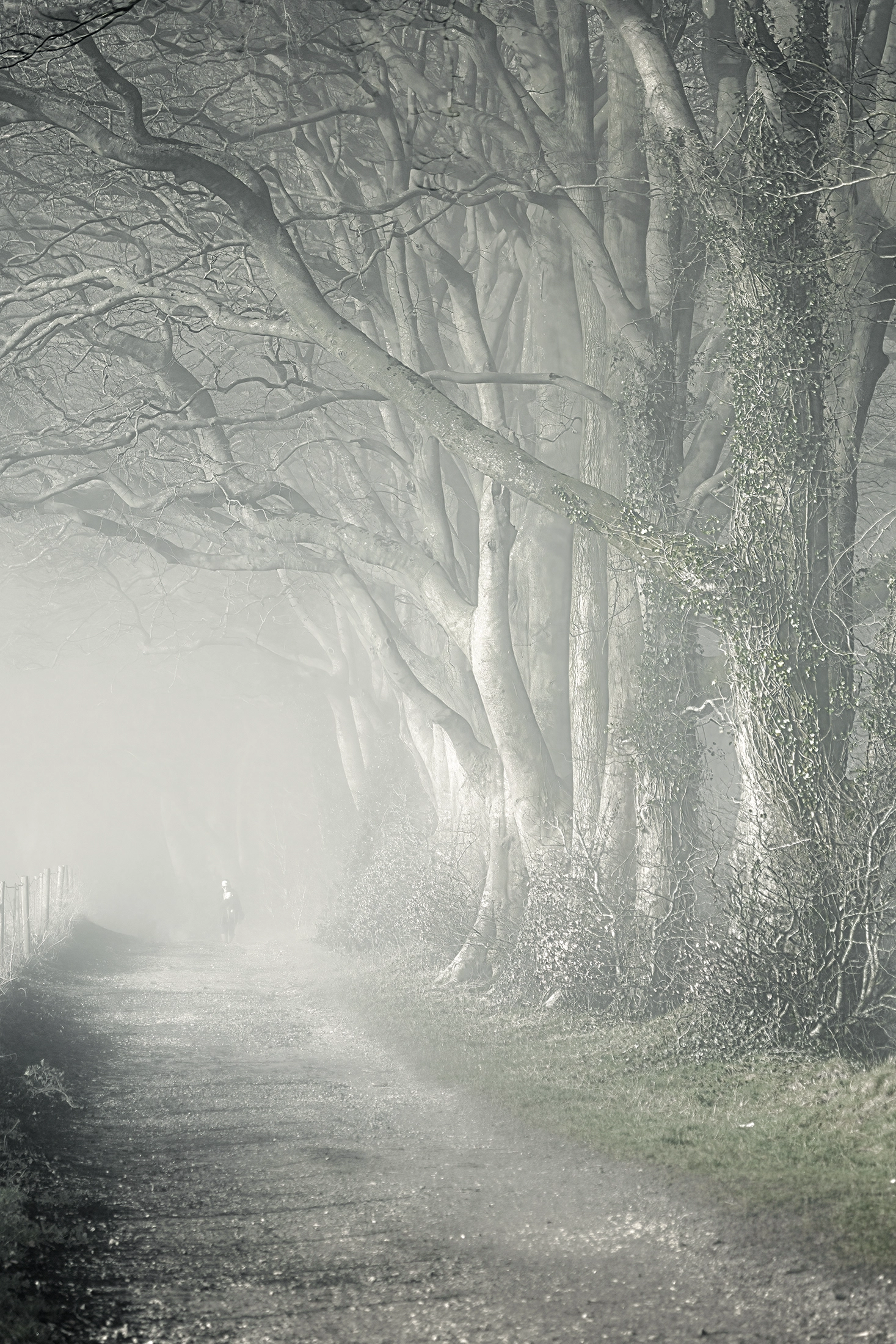 still ground v product image still ground v product image