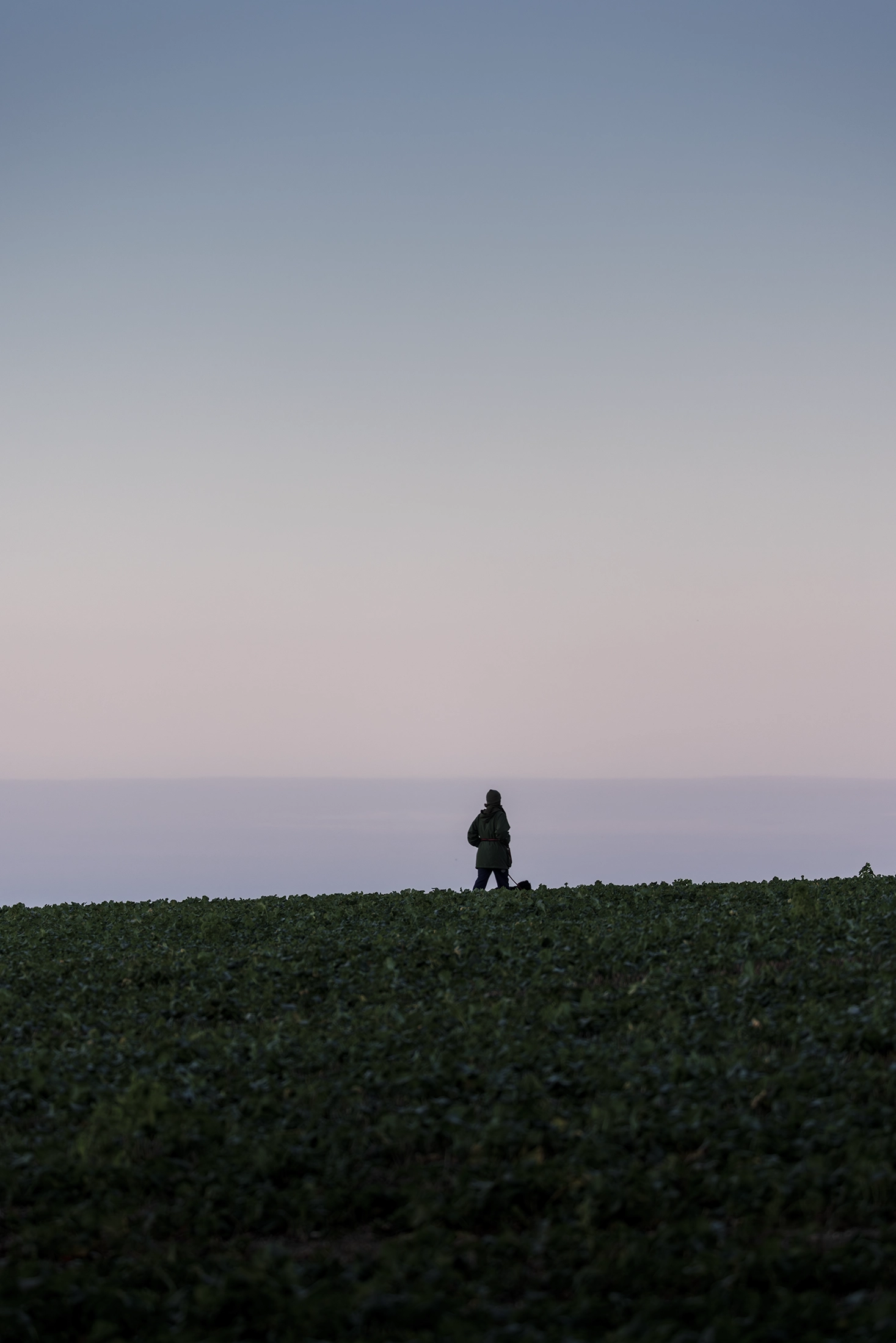 still ground vi product image still ground vi product image