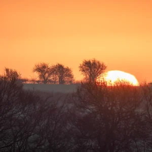 still ground vii product image