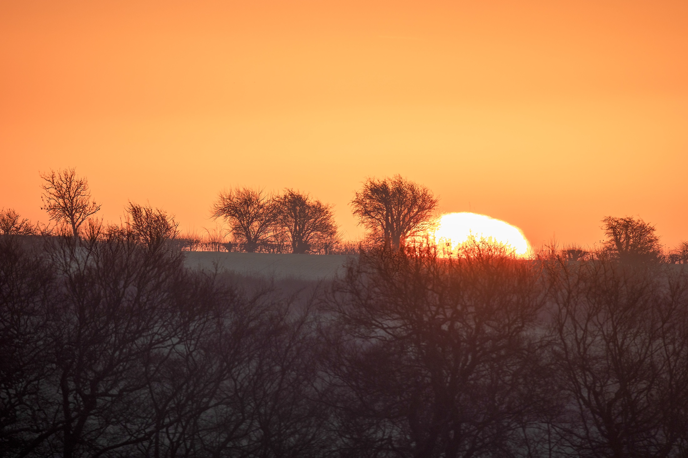 still ground vii product image still ground vii product image