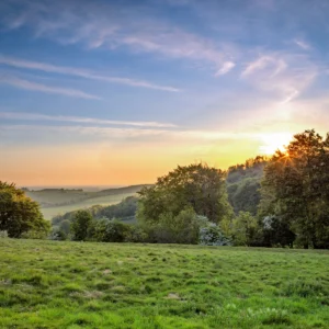 still ground viii product image