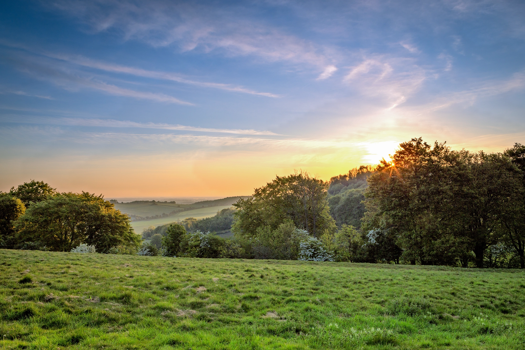 still ground viii product image still ground viii product image