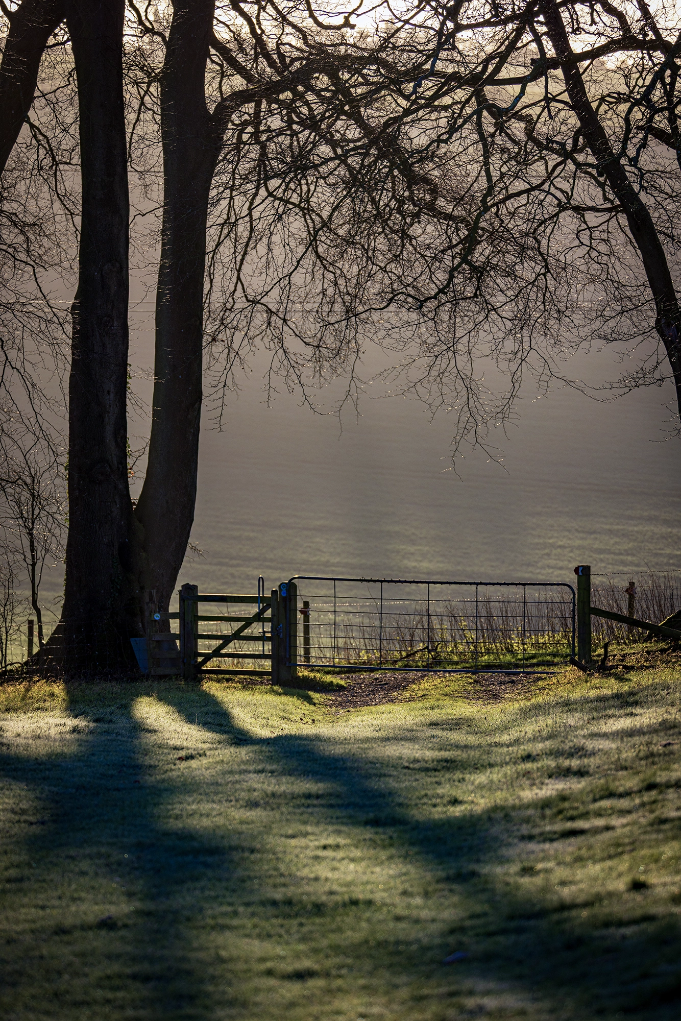 Photography Guides with photo of thames valley winter scene