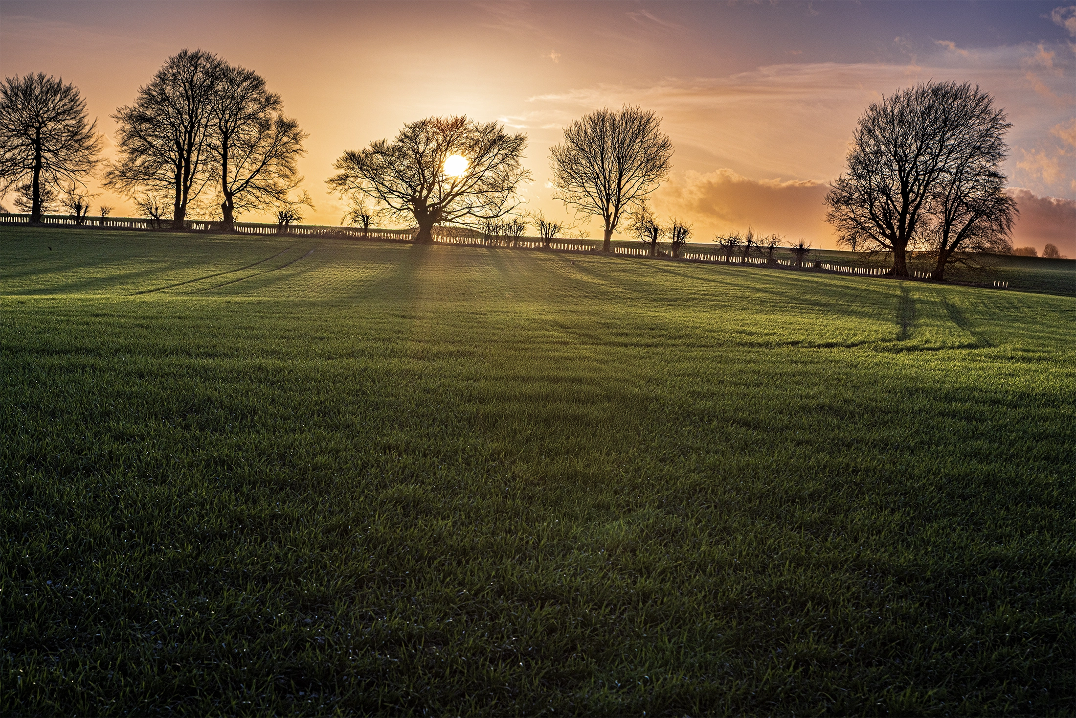 winter sunset on watership down – from winter into spring winter sunset on watership down – from winter into spring