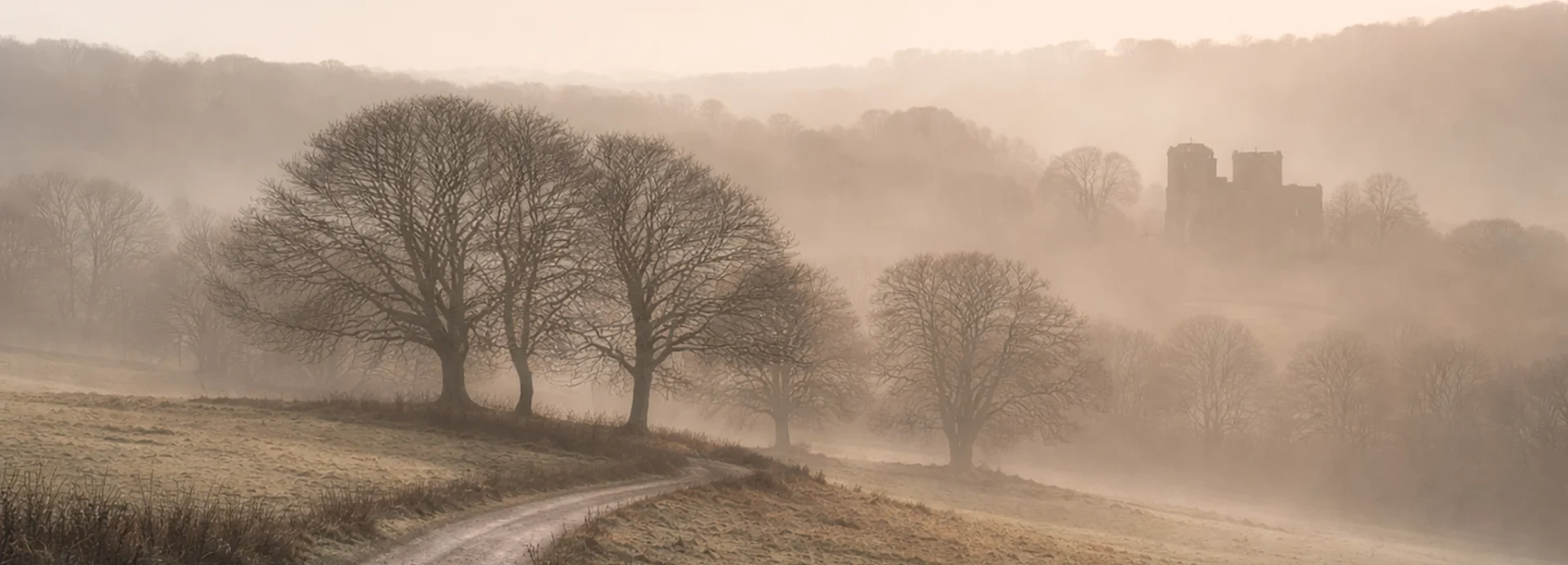 Black and White Photography: A Complete Guide