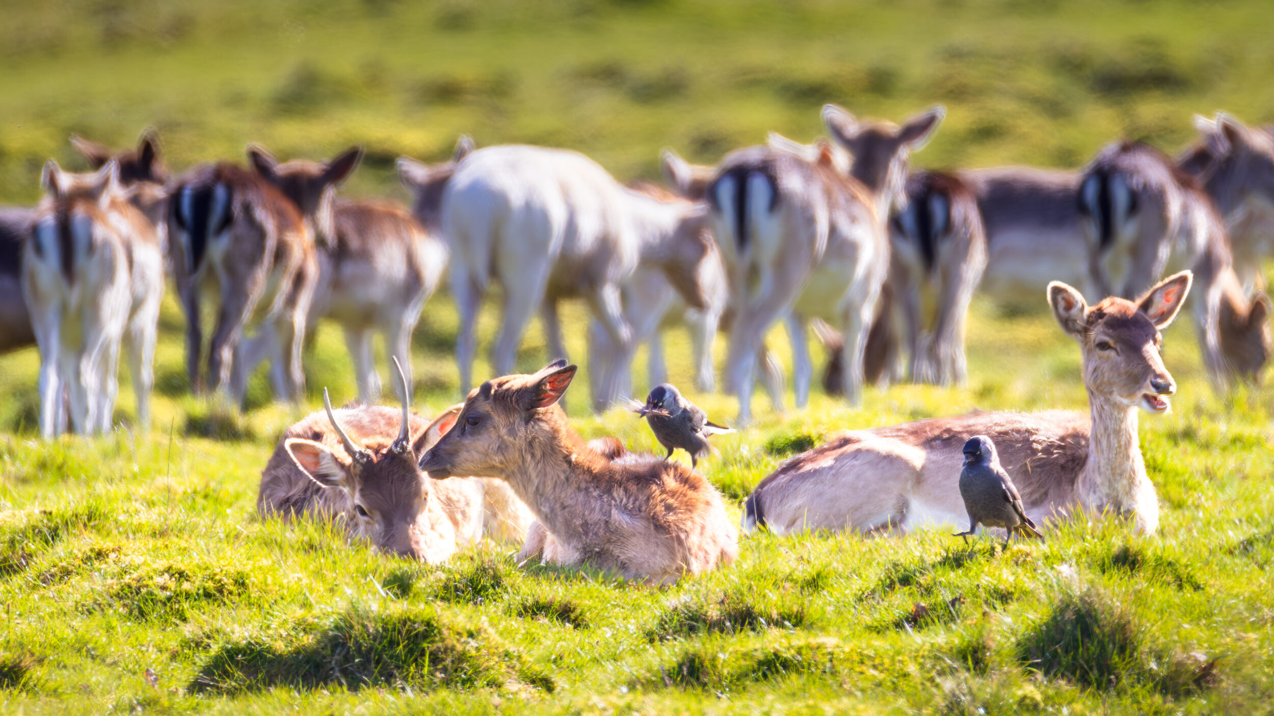 20260406 674a4462 edit 20260406 674a4462 edit