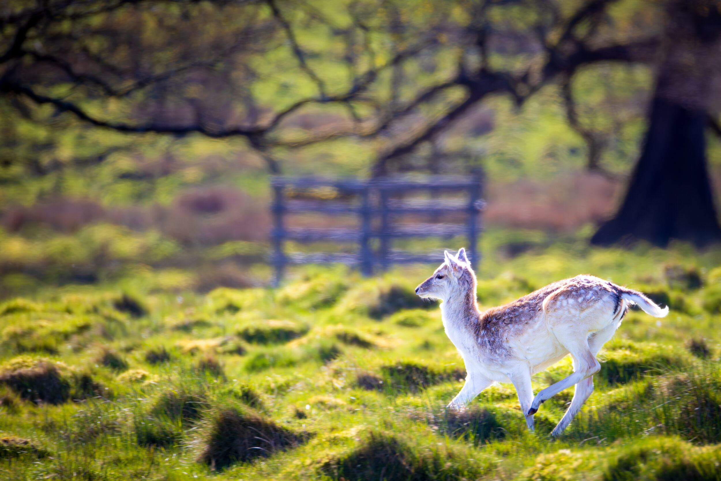 20260406 674a4503 edit 2 20260406 674a4503 edit 2