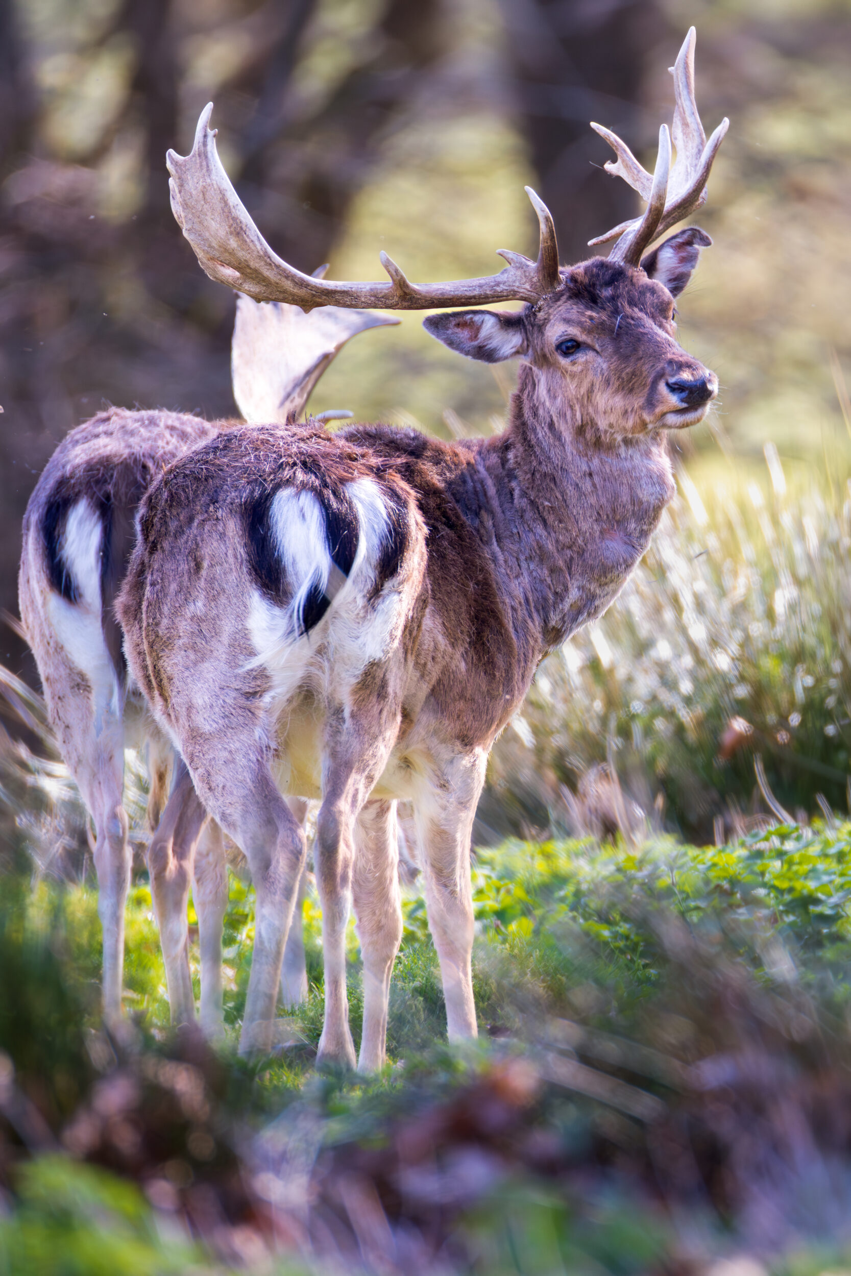 20260406 674a4542 edit 20260406 674a4542 edit