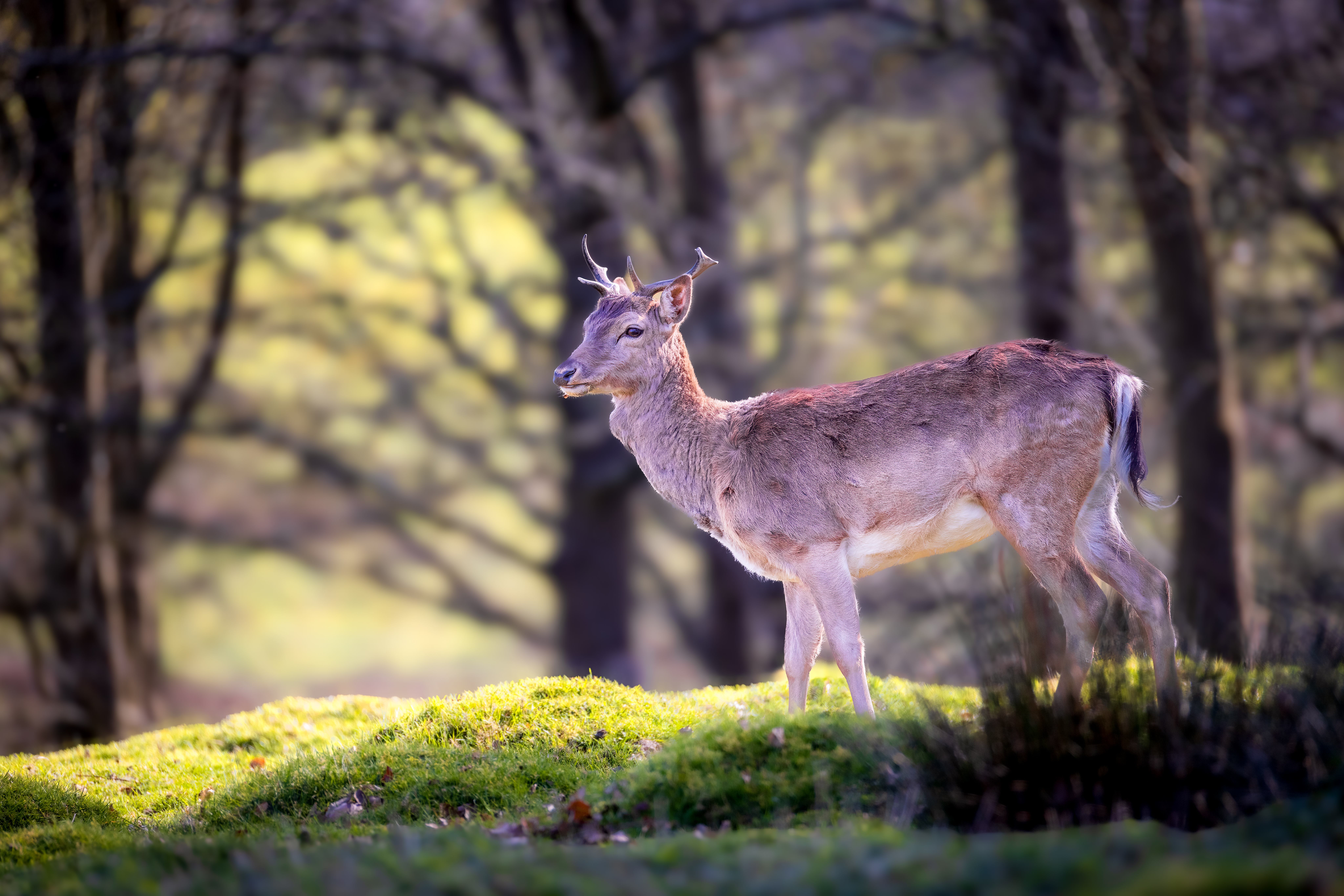 20260406 674a4544 edit 20260406 674a4544 edit