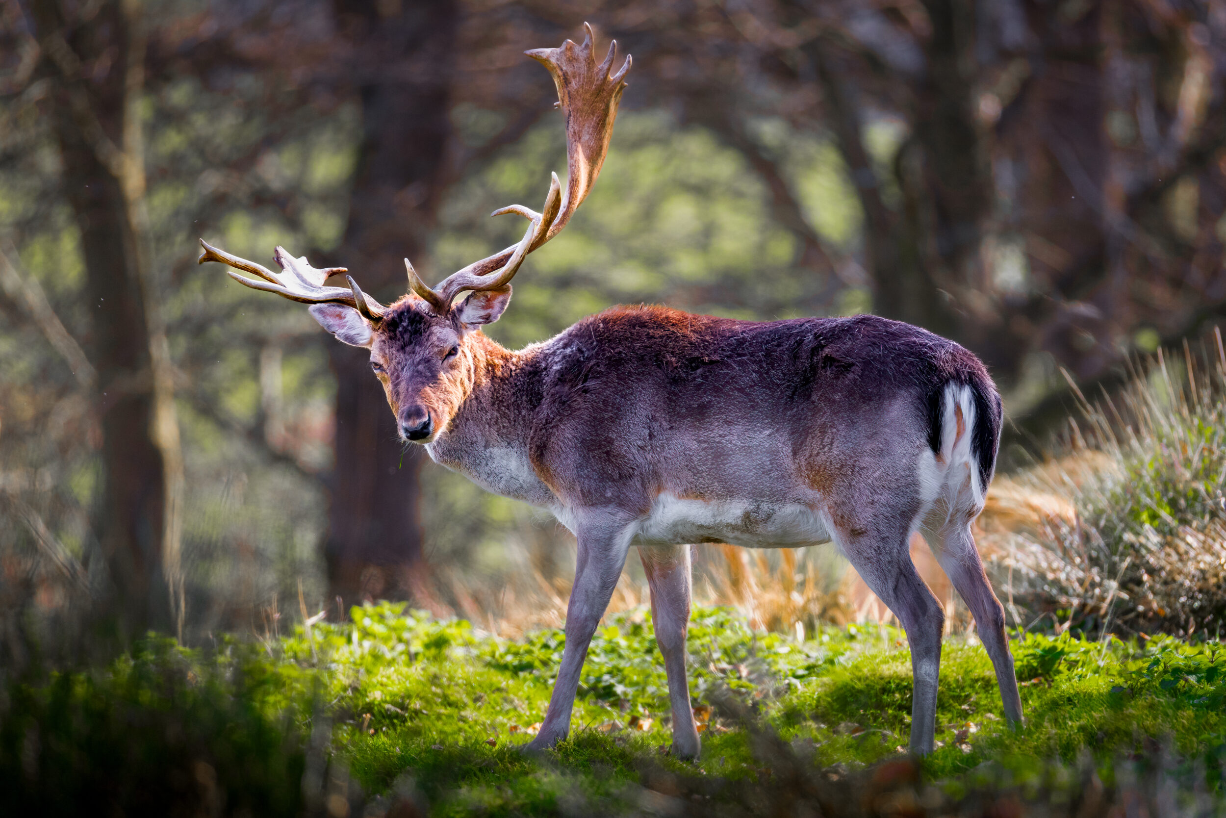 20260406 674a4554 edit edit 20260406 674a4554 edit edit