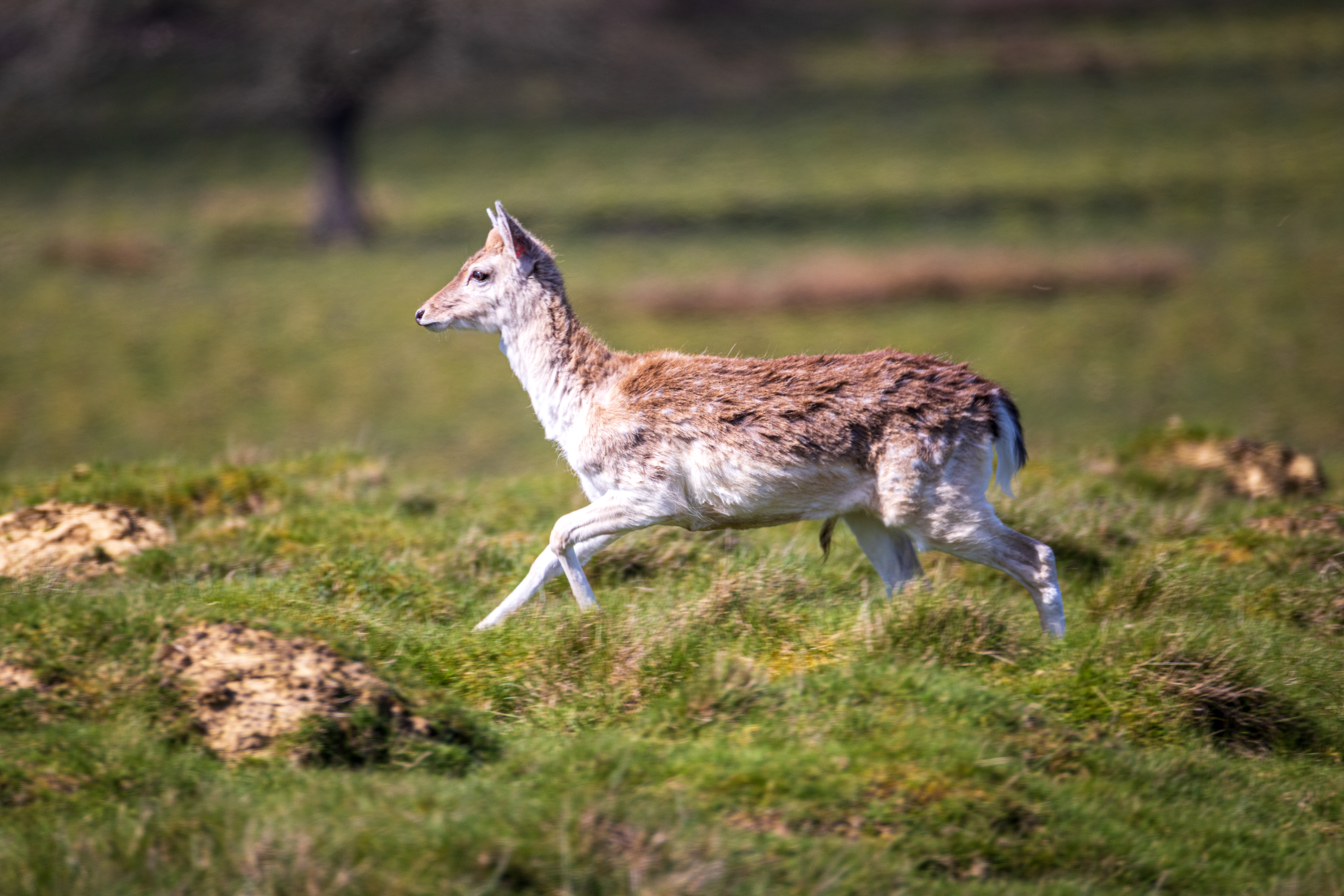 20260406 674a5002 20260406 674a5002