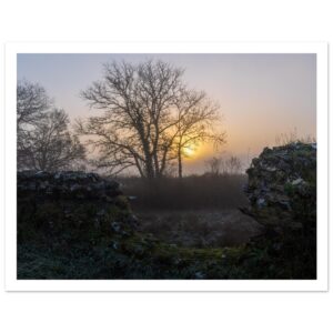 The Edge of Morning | Hampshire Fine Art Landscape Poster