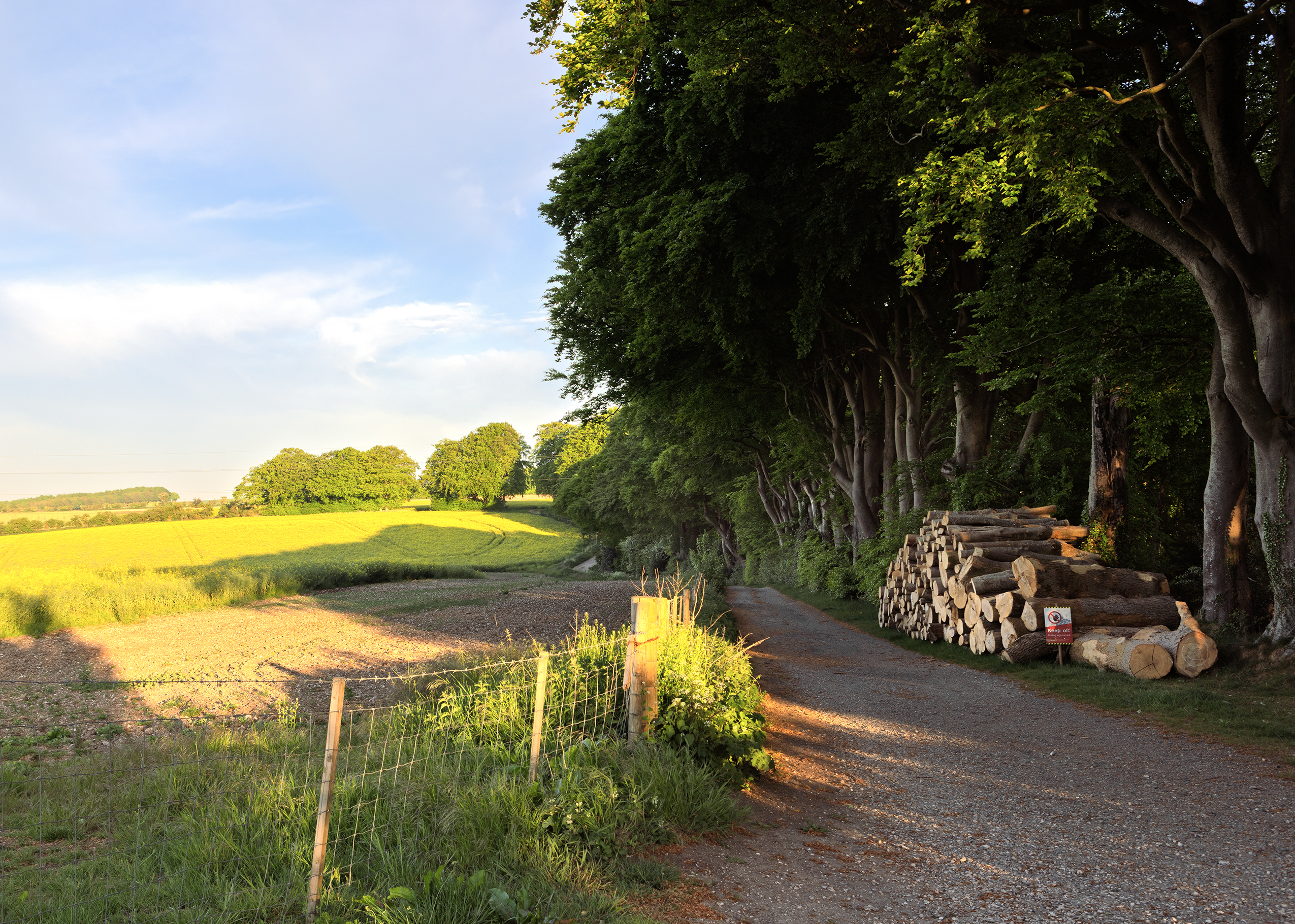 1400001 1410000 1400155 copy