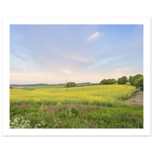 Summer Over Watership Down – Fine Art Poster