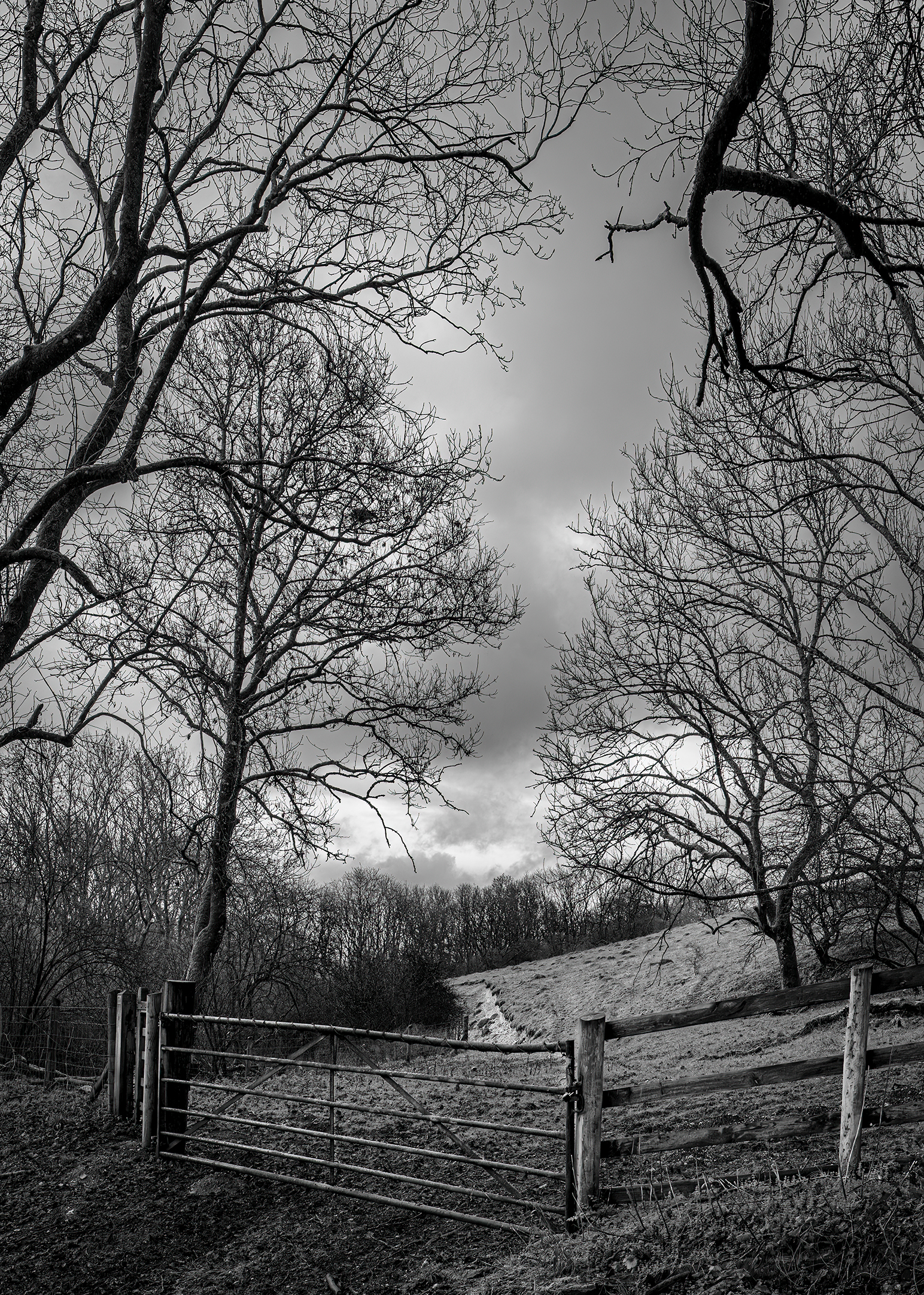 20260206 674a3566 edit copy