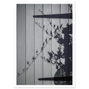 Shadow on Door – Fine Art Poster