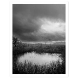 Storm-light Over the Pond – Fine Art Poster