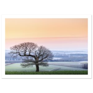 Winter Sentinel – Fine Art Poster