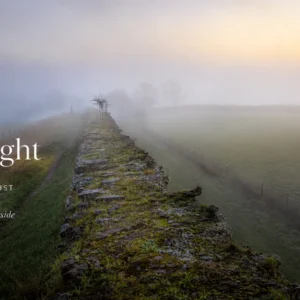 Shop Between Fog and Light