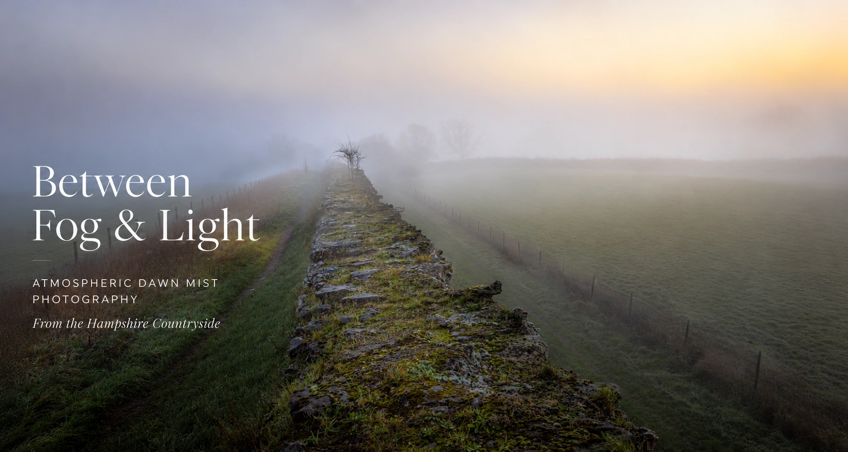 between fog & light