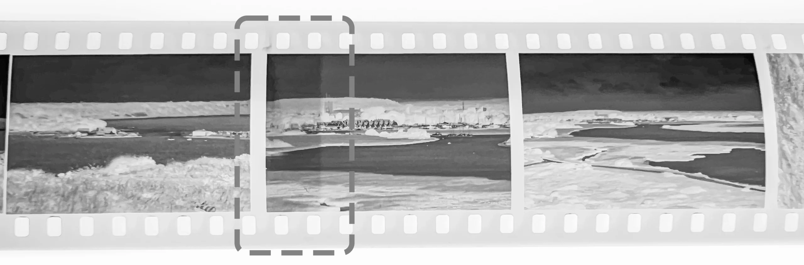 earl grey negative sample3