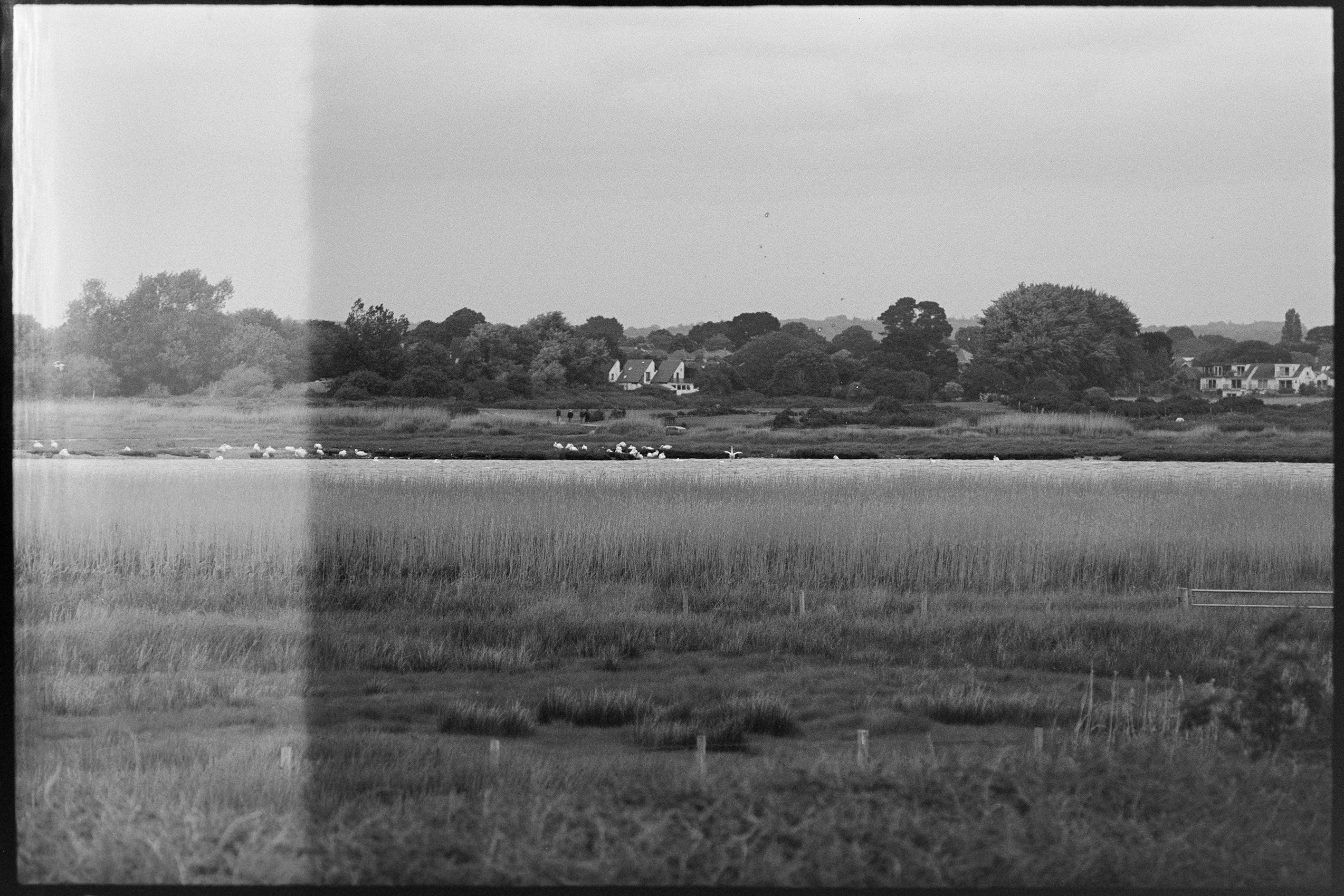 Black and white film image from Hengistbury Head with visible negative artefacts indicating possible Canon 300V shutter issue