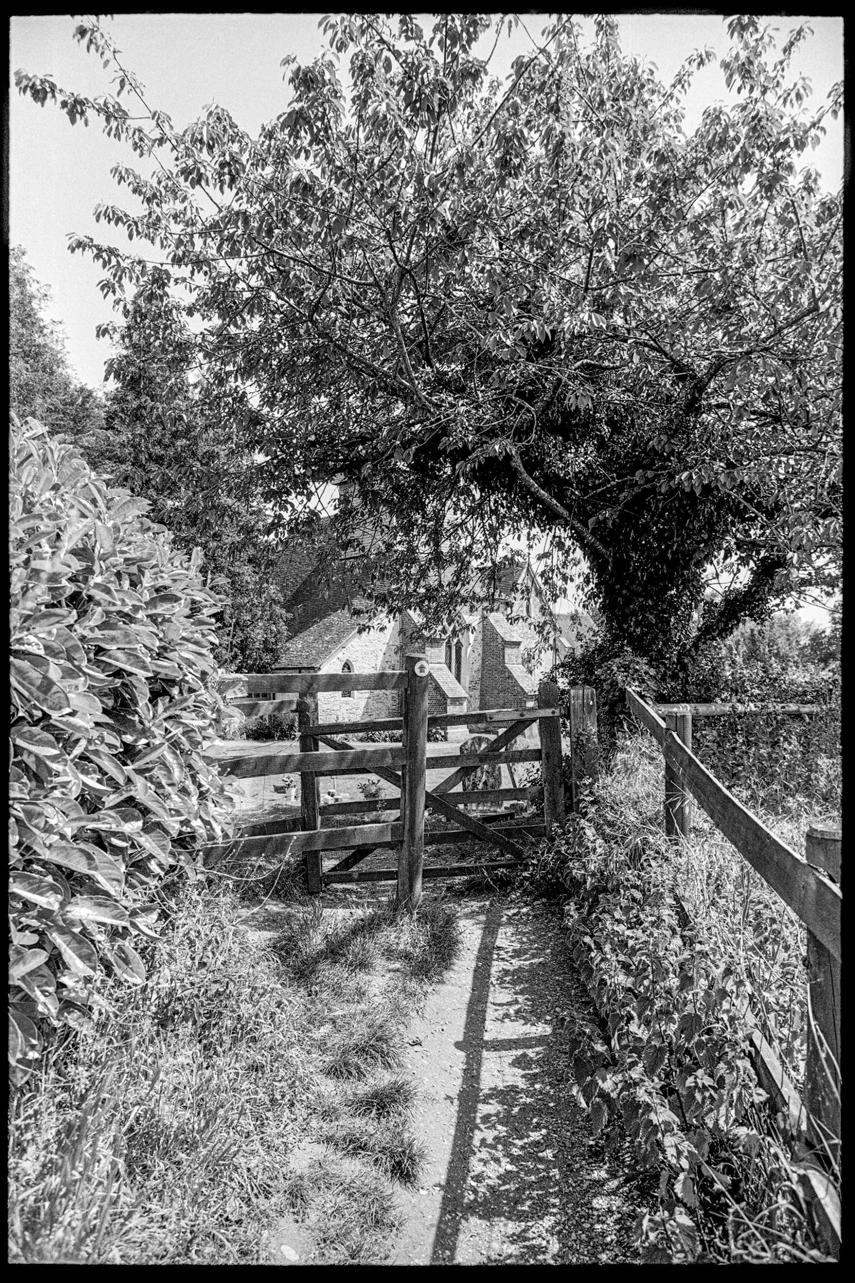 Rollei Ortho 25 — looking through a footpath gate toward St Mary's Church, Silchester, Hampshire