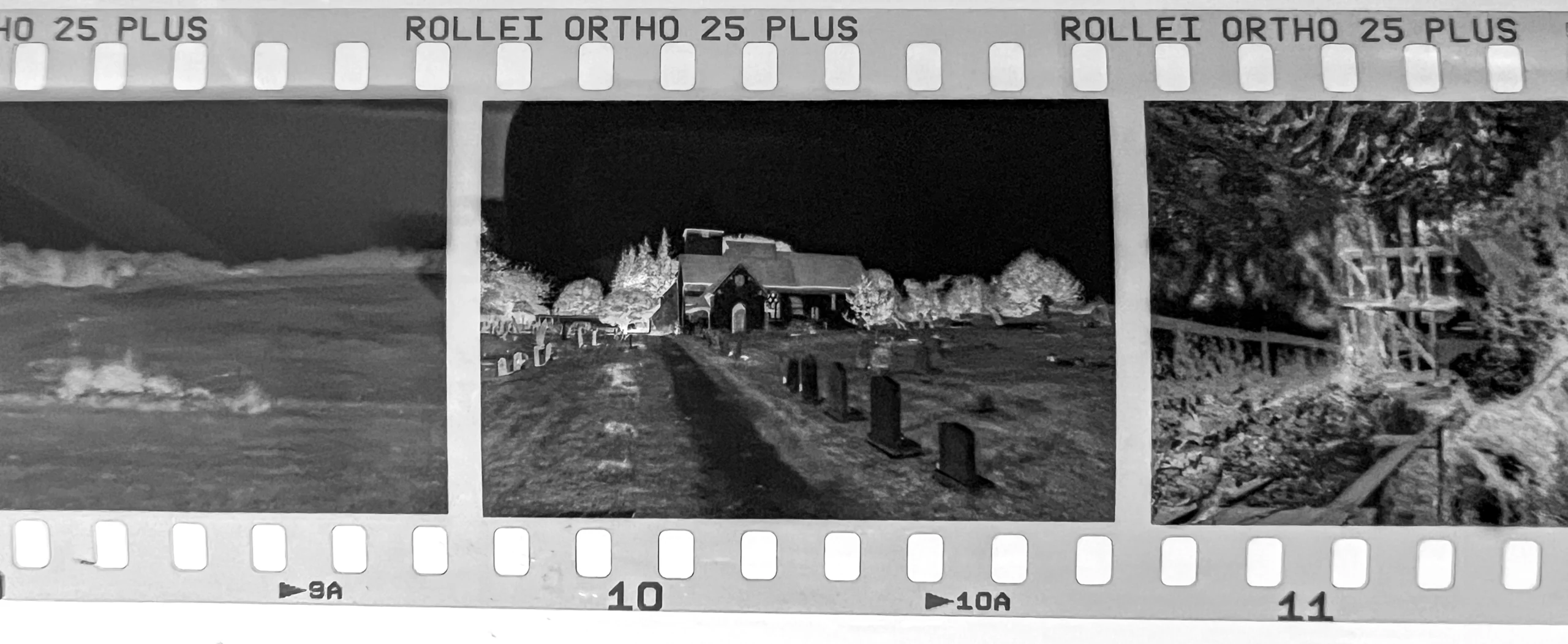 Rollei Ortho 25 negative strip showing the fine grain and clean base of the film after Rodinal development