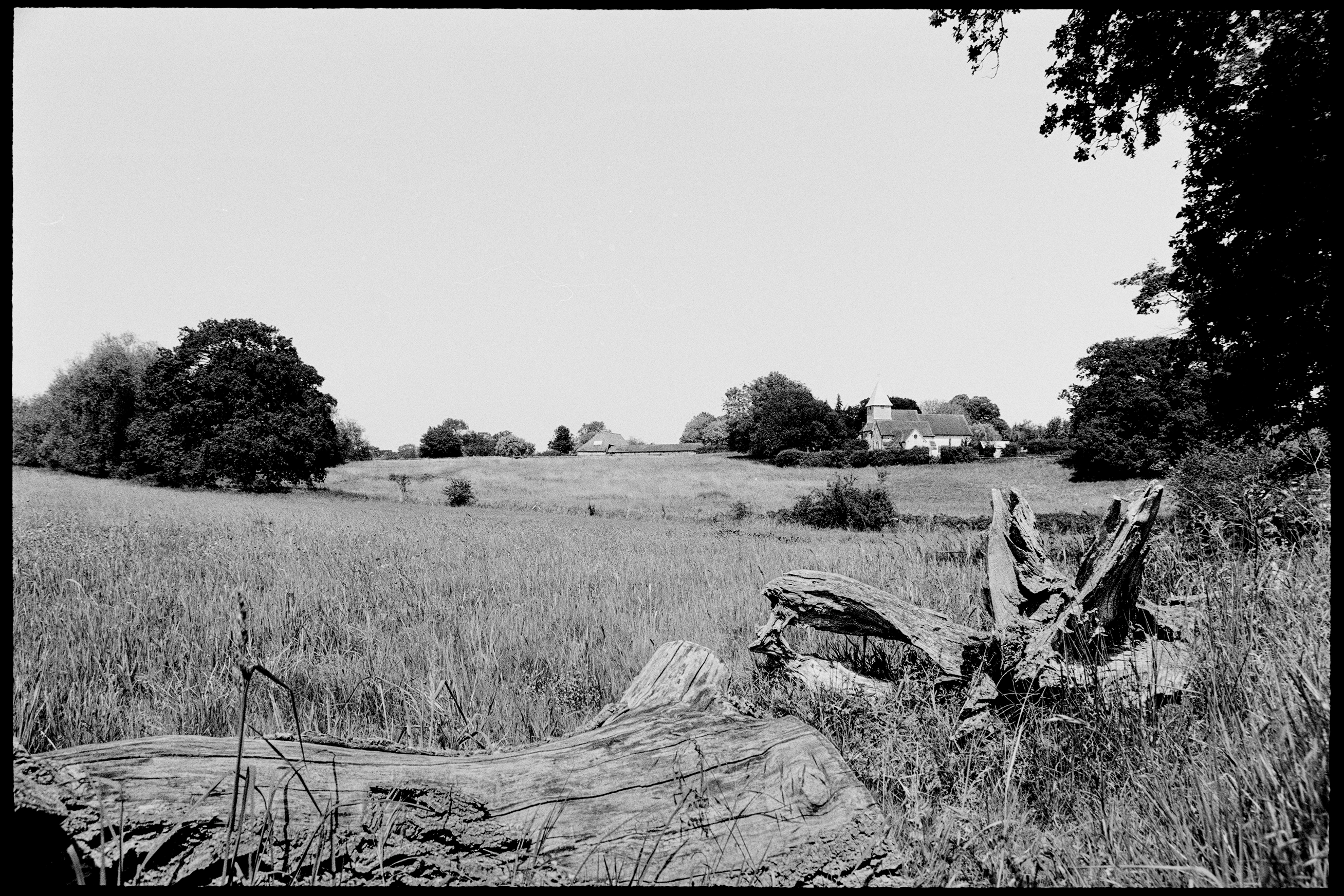 Rollei Ortho 25 — open field and St Mary's Church, Silchester, Hampshire, shot on Canon EOS 300V