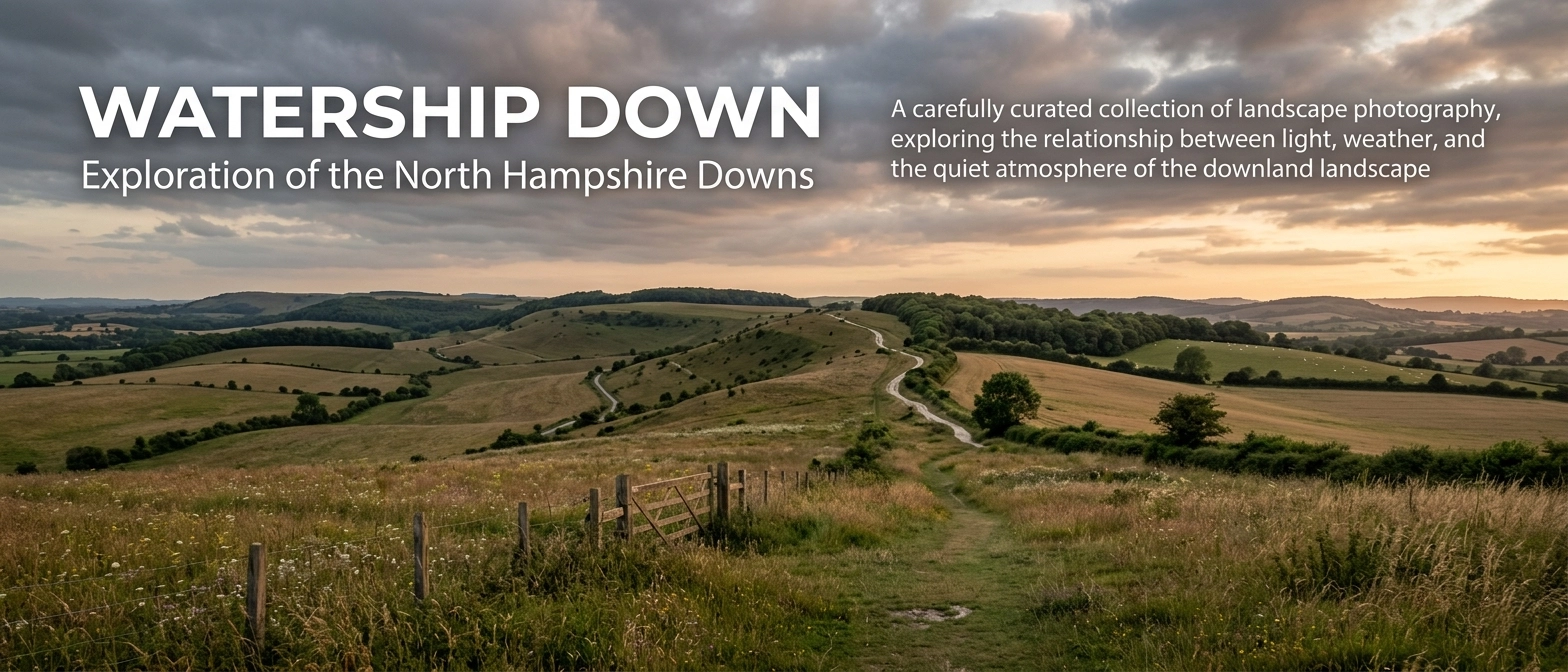 watership down banner image