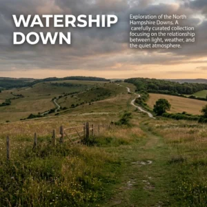 Shop Watership Down