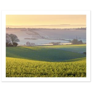 First Signs of Spring – Fine Art Poster