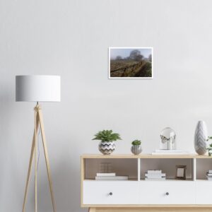 Soft Horizon at Calleva | Silchester Fine Art Landscape Poster