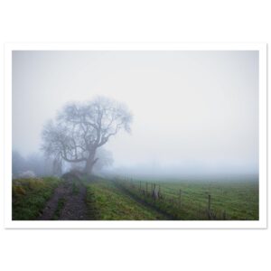 d93cf066-8897-4f23-ae3b-9093782fd312