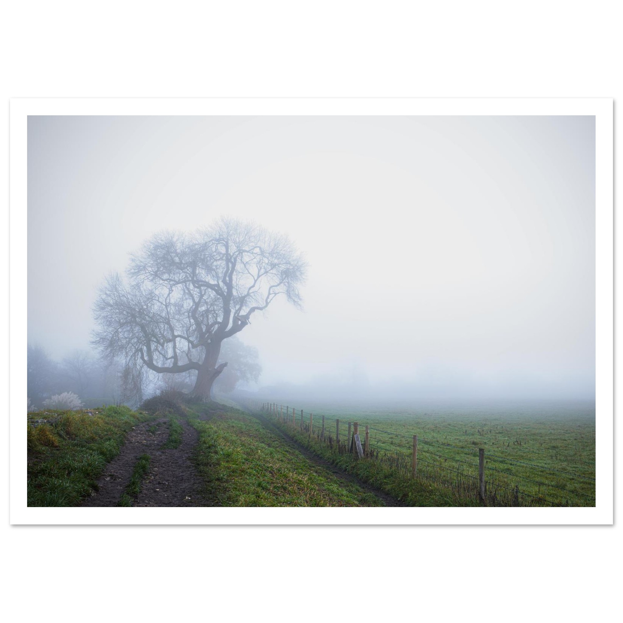 d93cf066-8897-4f23-ae3b-9093782fd312