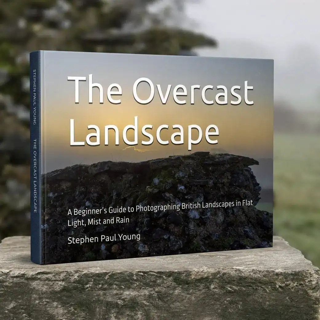The Overcast Landscape — book cover