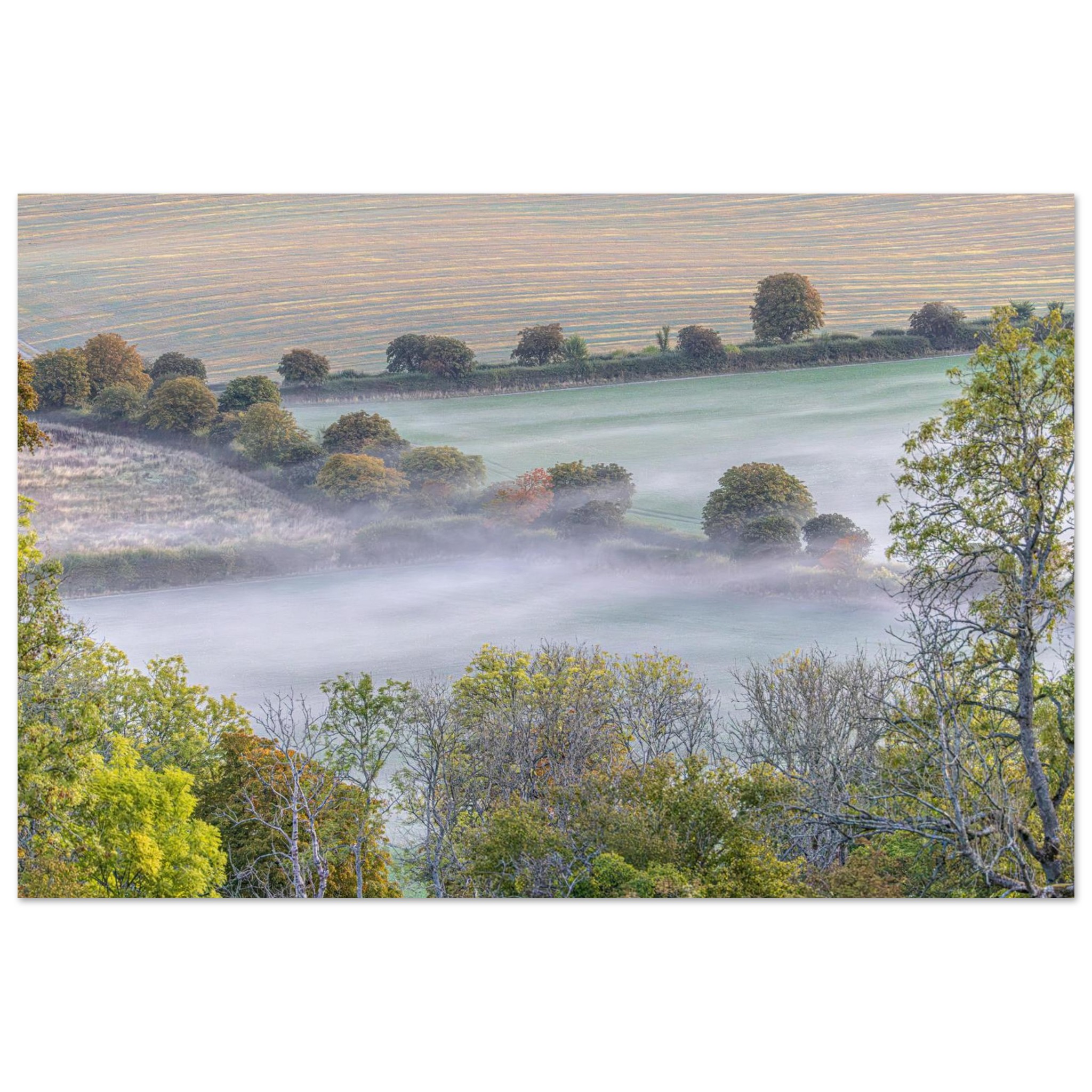 Autumn mist drifting across the fields below Watership Down, Hampshire – unframed fine art landscape print