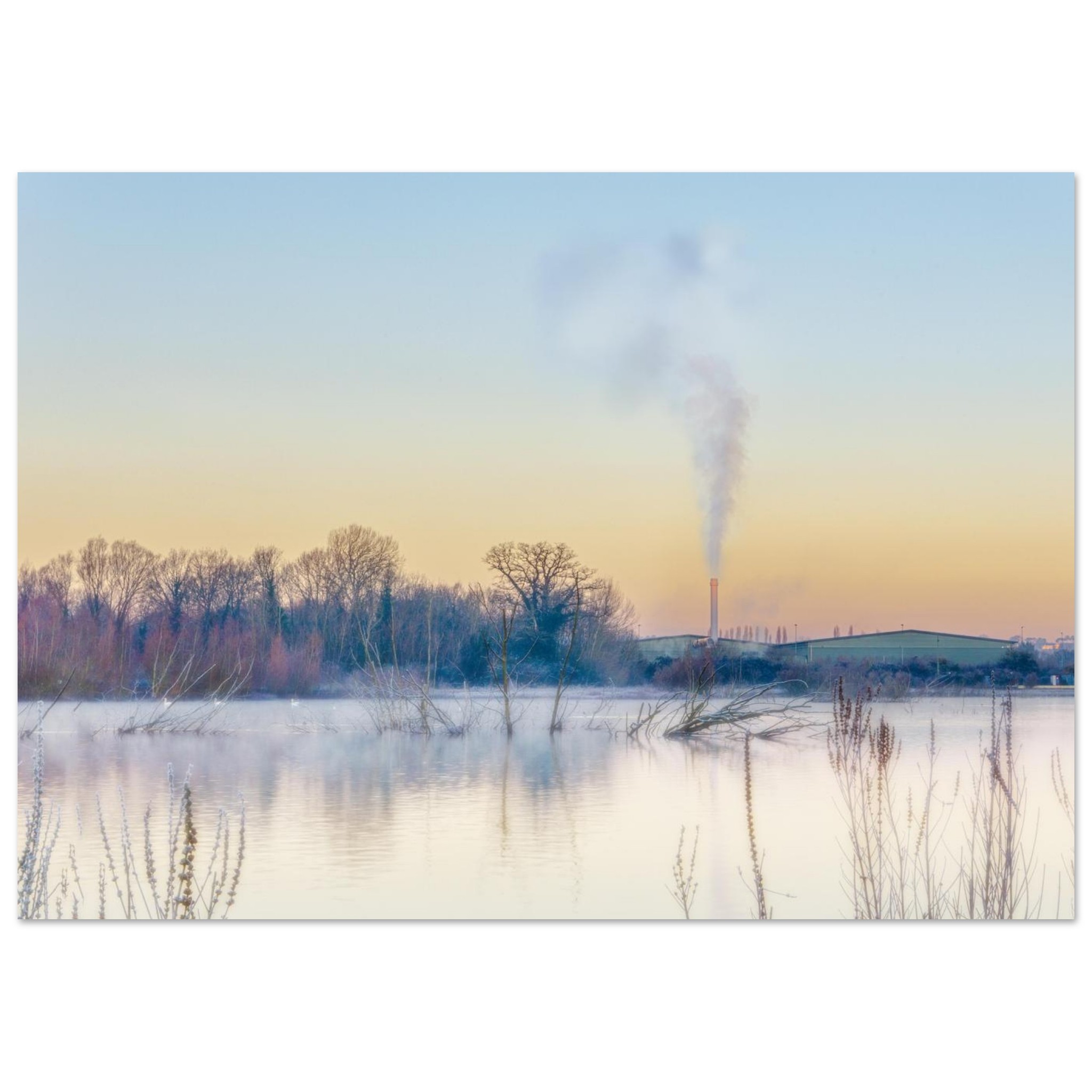 Industrial Wildlife Sunrise unframed fine art print close-up